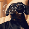 KC_doggoglasses
