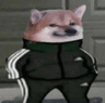 Slav_Dog