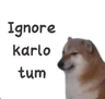 ignore_karlo