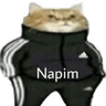 napim