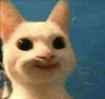 SmileCat