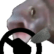 fishSTEER