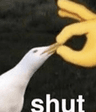 Shut