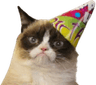 grumpycatbirthday