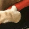 catthumb