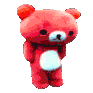 teddy