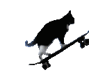 skatin_cat