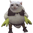 shrekcat