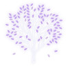 novatree
