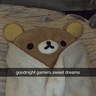 good_night_gamers