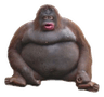 fatmonke