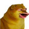 pogcheems
