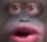 monke