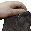 pettheedgar
