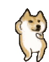 a_doge_dance2