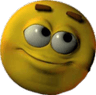 wyd