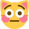 cat_flushed