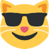 2726sunglassescat