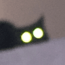 3293catstareglare