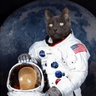 spacecat