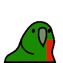 zambia_parrot