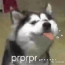 emoji_44