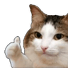 ok_gato
