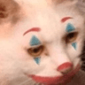 clownpussy