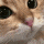 aaa