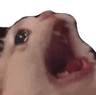 kittycatscream
