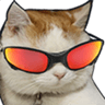 cat_zedoguinha