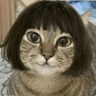 cat_legauu