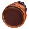 2717_OmegaKek