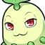 smugchikorita
