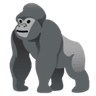 gorilla