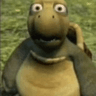 WHATurtle
