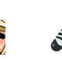 zebraDeanna