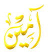 fancyameen