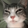 skepticalcat