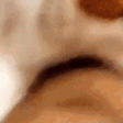 FTGPCATNOM