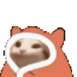 FTGPpopCatBlankies2