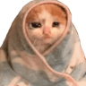 Cozycat