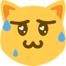 cat_worried