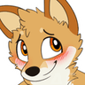 dingo_blush