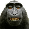 monkey_smile