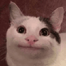 catBeluga