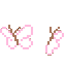 butterflies