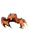 crabdance