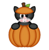 CatPumpkin