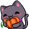 CatLove